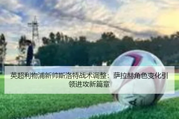 ying-chao-li-wu-pu-xin-shuai-si-luo-te-zhan-shu-tiao-zheng-sa-la-he-jue-se-bian-hua-yin-ling-jin-gong-xin-pian-zhang-2-985.jpg